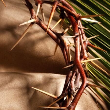Crown of thorns and palm branch